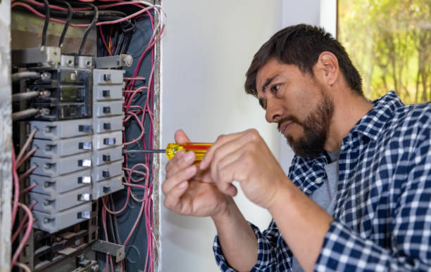 Best Electric Panel Repair  in Gananda, NY